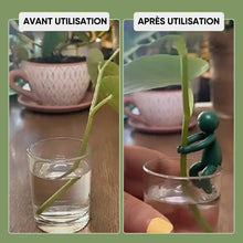 Charger l&#39;image dans la galerie, Ami de la propagation des plantes