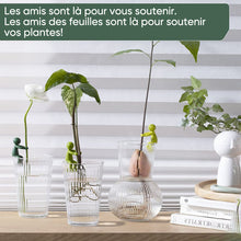 Charger l&#39;image dans la galerie, Ami de la propagation des plantes