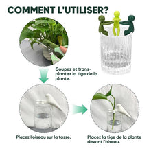 Charger l&#39;image dans la galerie, Ami de la propagation des plantes