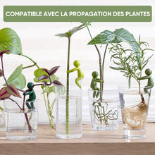 Charger l&#39;image dans la galerie, Ami de la propagation des plantes