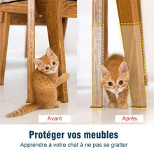 Charger l&#39;image dans la galerie, Ruban de Protection de Meubles Résistant aux Rayures pour Chats