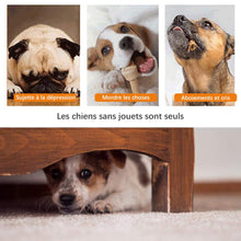 Charger l&#39;image dans la galerie, Jouet de Fuite de Ventouse de Chien