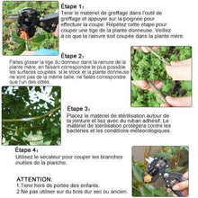 Charger l&#39;image dans la galerie, Trousse à Outils Pour Greffe de Jardin